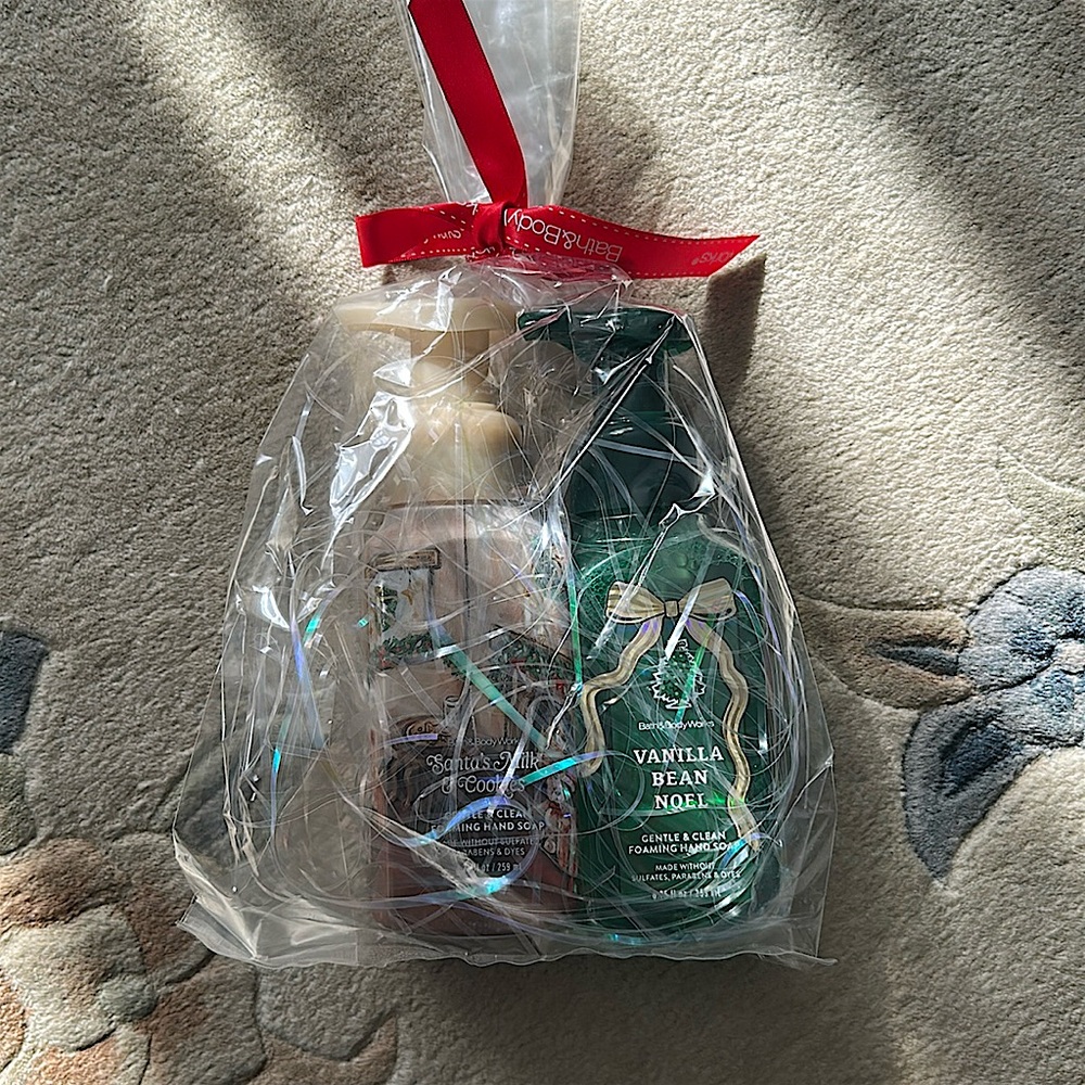 Bath & Body Works Gentle and Clean Foaming Hand Soap